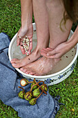 Footbath with horse chestnuts