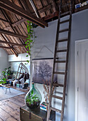 Attic with rung ladder, hanging chair, plant decoration and rustic wooden elements