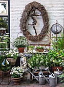 Lush garden decoration with vintage watering cans and plants in pots in front of a white brick wall