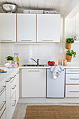 White kitchen with herb pots on the wall