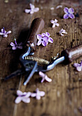 Close-up of secateurs and lilac flowers (Syringa) on wooden table