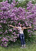 Woman embraces flowering lilac bush (Syringa) in spring garden