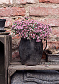 Pink flowers in rustic ceramic pot in front of brick wall