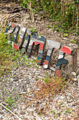 Bunt bemaltes Holzschild in einem Naturgarten