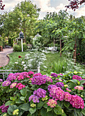 Summer garden with hydrangeas in bloom and romantic garden furniture