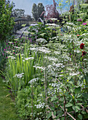 Weiße Doldenblütler in einem üppigen Sommergarten