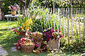 Autumnal decorated garden with colorful flowers in baskets and vases