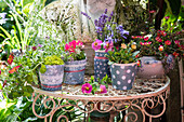 Flower pots with summer flowers and herbs on decorative metal table in the garden