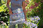 Gardener with apron in front of flower bed with blooming agapanthus (agapanthus)