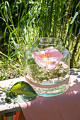 Rose blossom in decorative glass vase in the garden