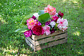 Buntes Blumenarrangement aus Pfingstrosen in Holzkiste