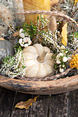 Herbstliches Arrangement mit weißem Kürbis, Beeren und Gräsern in Holzschale