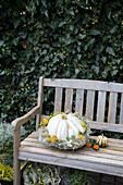 Holzbank mit Weißem Kürbis mit Herbstdekoration im Garten