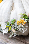 Decorated pumpkin with succulents and dried flowers