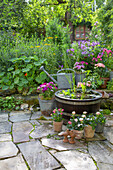 Verschiedene Pflanzen und Miniteich im Garten mit Steinweg