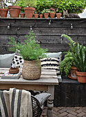 Terrace with wooden bench, potted plants and fairy lights