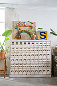 White apothecary cabinet with plants and decorations