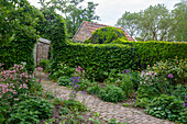 Garden with paved path surrounded by flowering perennials, hedges and shrubs