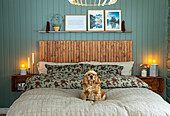 Dog on double bed in bedroom with green wall panelling