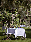 Set garden table with chairs under an apple tree in summer