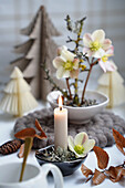 Winterlicher Tischschmuck mit Christrosen (Helleborus), Kerze und Papierbäumen