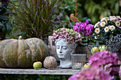 Autumn garden decoration with pumpkin, hydrangea wreath on bust, cyclamen, apples, lantern on wooden table