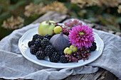 Autumnal fruits with blackberries, figs, elderberries and dahlia blossom on a white plate outdoors