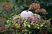 Hortensienkranz (Hydrangea) mit Hopfenranken (Humulus) und Zierkürbis in der Mitte auf rostigem Gartentisch