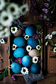 Coloured Easter eggs in blue and natural tones with spring flowers in a wooden box