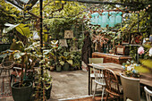 Greenhouse with lush green plants, wooden table with chairs and vintage decorations