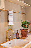 Kitchen workspace with orange tree in terracotta pot and sink with gold fittings