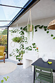 Conservatory with hanging plants and glass roof, green chair at the table