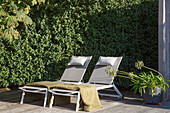 Two sun loungers with green blankets on a wooden terrace in front of a green hedge