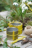 DIY bamboo vase, box made of yellow branches, snowdrops (Galanthus) and secateurs on a garden table