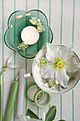 Table decoration with Christmas roses and candles