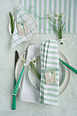 Fabric napkins and DIY clay pendant with snowdrops as table decorations