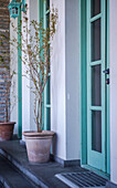 Potted plant in front of mint green wooden door