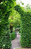 Green pergola with gravel path in the summer garden