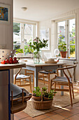 Light-flooded dining room with wooden furniture and country-style plants