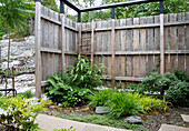 Wooden fence with lush garden plants in a corner of the garden