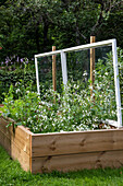 Densely planted raised bed with hinged roof