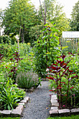 Kiesweg durch farbenfrohen Bauerngarten im Sommer