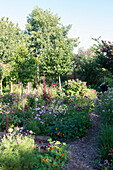 Versatilely planted garden in summer flowering splendour