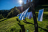 Clothesline with towels on a sunny meadow in the mountains