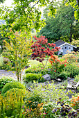 Colourful summer garden with garden shed and stone path