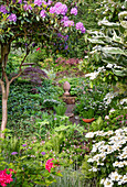 Lush garden with rhododendron and ferns in summer