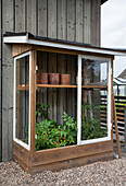 Small greenhouse with tomato plants and clay pots in the garden