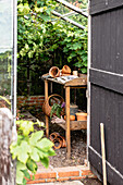 Greenhouse with planting table, pots and vines