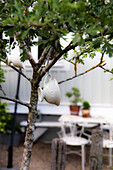 Teacup decoration on garden tree, garden area in the background