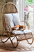 Rattan armchair with cushion and sleeping cat in front of window